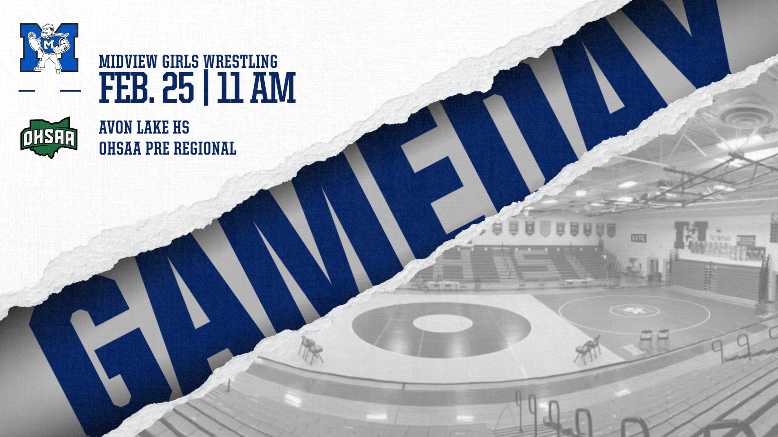 Girls Wrestlers Begin OHSAA Tournament at Avon Lake Pre Regional Tournament February 25