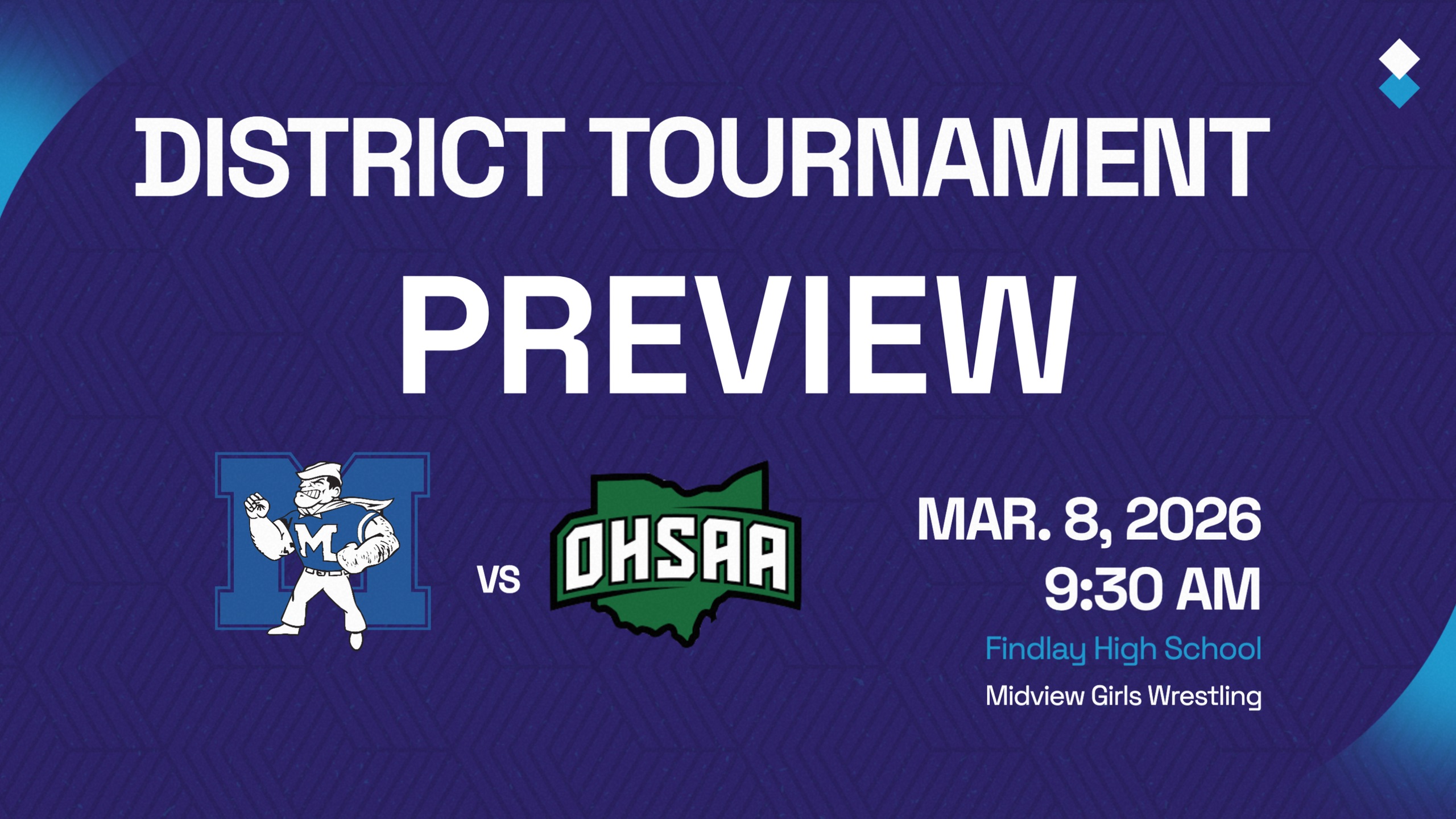 Midview Girls Wrestling to send record five to OHSAA Findlay District on March 8