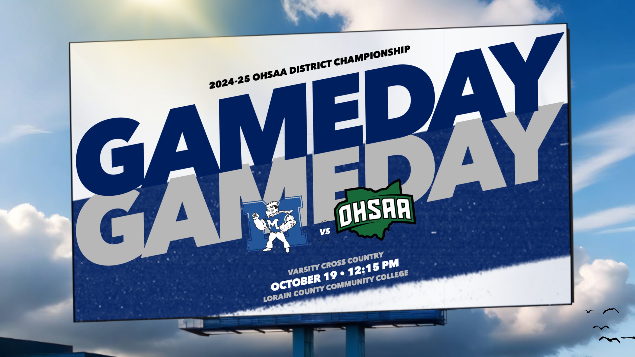 Midview Cross Country to Run at OHSAA District Championship October 19